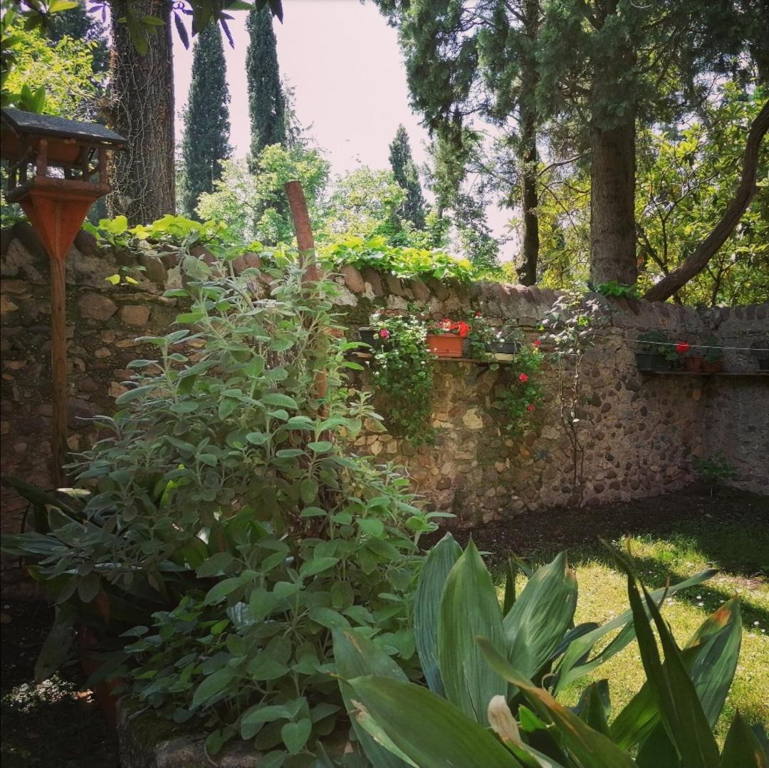 バルドリーノLa Casa Di Marziaアパートメント エクステリア 写真
